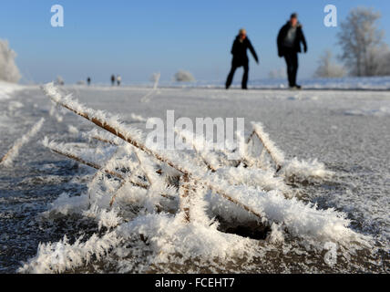 Brême, Allemagne. 22 janvier, 2016. Les premiers patineurs de la saison Venez profiter d'une journée sur le champ de glace Semkenfahrt à Brême, Allemagne, 22 janvier 2016. Les autorités locales ont donné un coup de pouce et l'autorisation officielle pour l'usage public de la banquise. Semkenfahrt est un champ de glace kilomètres longue étendue de prairie qui a délibérément été inondée pour créer un champ de glace à des fins récréatives. Photo : Ingo Wagner/dpa/Alamy Live News Banque D'Images