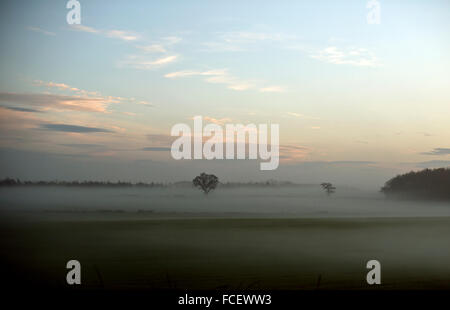 Brume sur champs Harrogate Banque D'Images