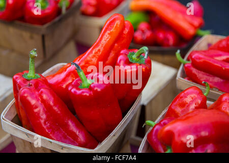 Matières premières fraîches légumes poivrons rouges dans des paniers à Sarasota Farmers Market à Sarasota en Floride Banque D'Images