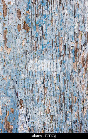 Vieille porte en bois peint en bleu avec la texture de la peinture Banque D'Images