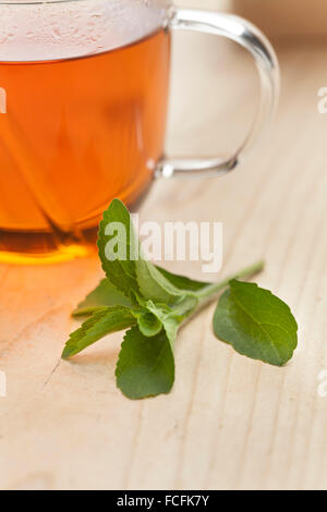 Verre avec du thé et des feuilles de Stevia rebaudiana comme édulcorant Banque D'Images