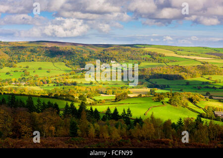 Vue d'un dégagement en plantation Luccombe vers Selworthy Selworthy et balise. Somerset, Exmoor Banque D'Images