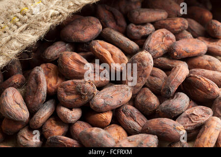 Sac en jute avec plein de fèves de cacao brutes Banque D'Images