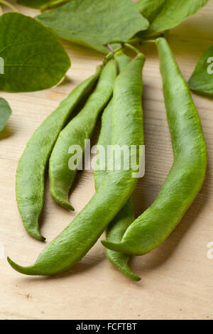 Haricots verts frais cueillis et les feuilles Banque D'Images