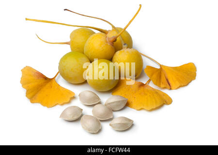 Ginkgo biloba jaune mûr de fruits, de noix et de feuilles sur fond blanc Banque D'Images