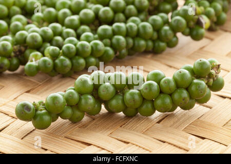 Poivre vert frais fruit non mûr en drupe Banque D'Images