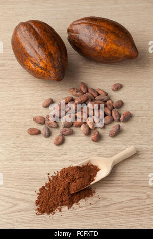 Fruits de cacao, les fèves de cacao et poudre de cacao sur une cuillère en bois Banque D'Images