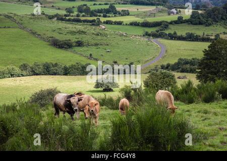 ILLUSTRATION DE L'Aveyron (12), FRANCE Banque D'Images