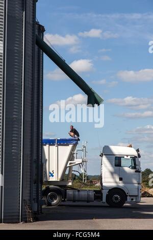 Coopérative des céréales de l'essai, ORNE (61), FRANCE Banque D'Images