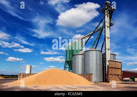 Coopérative des céréales de l'essai, ORNE (61), FRANCE Banque D'Images
