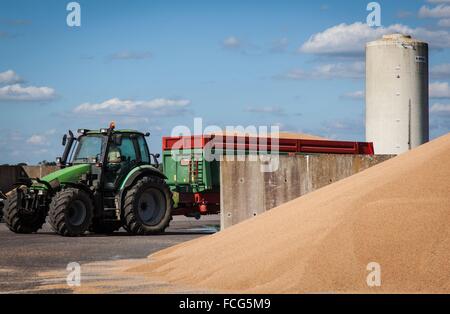 Coopérative des céréales de l'essai, ORNE (61), FRANCE Banque D'Images