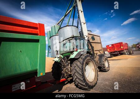 Coopérative des céréales de l'essai, ORNE (61), FRANCE Banque D'Images
