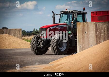 Coopérative des céréales de l'essai, ORNE (61), FRANCE Banque D'Images