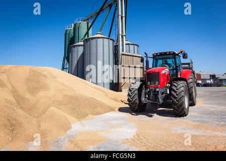 Coopérative des céréales de l'essai, ORNE (61), FRANCE Banque D'Images