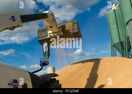 Coopérative des céréales de l'essai, ORNE (61), FRANCE Banque D'Images