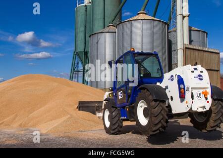 Coopérative des céréales de l'essai, ORNE (61), FRANCE Banque D'Images