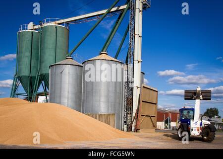 Coopérative des céréales de l'essai, ORNE (61), FRANCE Banque D'Images