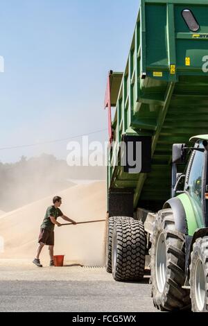 Coopérative des céréales de l'essai, ORNE (61), FRANCE Banque D'Images