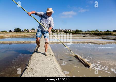 Marais salants de Guerande, LOIRE ATLANTIQUE (44), région de la Loire, France Banque D'Images