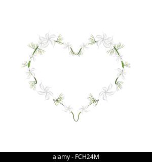 Concept d'amour, de l'illustration du Cap Blanc Jasmin Fleurs formant en forme de coeur isolé sur fond blanc. Illustration de Vecteur