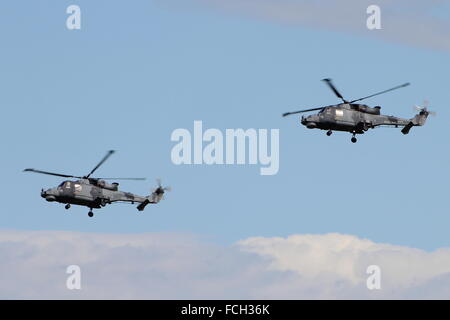 L'hélicoptère de la Marine royale, l'équipe display Black Cats, effectuant à Scotland's National Airshow à East Fortune. Banque D'Images