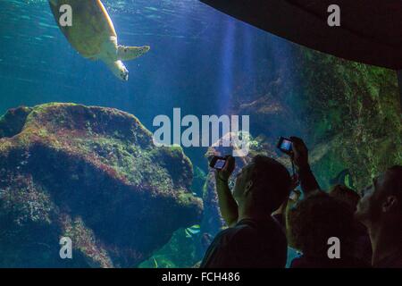 LA ROCHELLE, (17) CHARENTE-MARITIME, POITOU-CHARENTES, FRANCE Banque D'Images