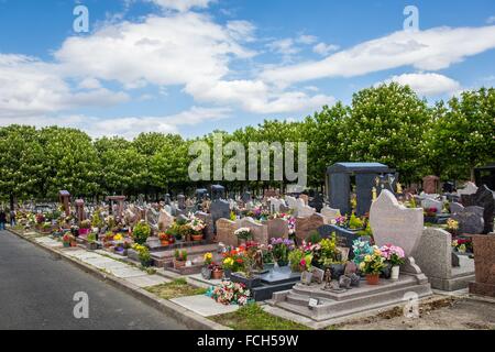 L'ENTRETIEN DU PARC SANS désherbants chimiques, VITRY-SUR-SEINE, (94) Val-de-Marne, ILE-DE-FRANCE, FRANCE Banque D'Images