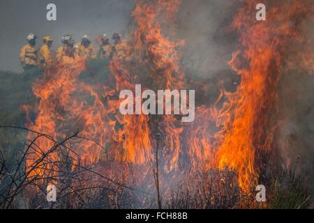 Rideau de flammes Banque D'Images