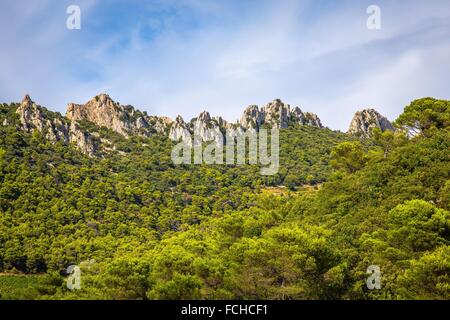 ILLUSTRATION DU Vaucluse (84), PACA, Provence Alpes Côtes d'Azur, France Banque D'Images