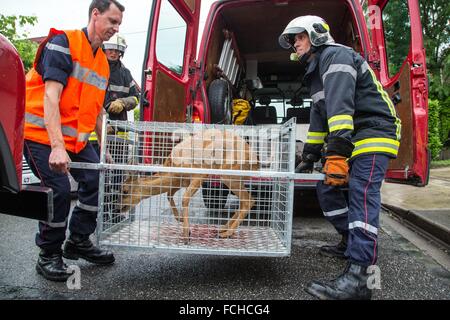 Les SERVICES D'URGENCE MINISTÈRE DE L'AGEN, (47) Lot-et-Garonne, France Banque D'Images