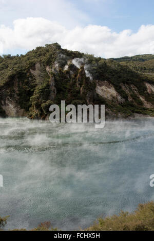 55 °C poêle chaude Lac dans la vallée du Rift volcanique de Waimangu, en Nouvelle-Zélande, est la plus grande source d'eau chaude dans le monde. Banque D'Images