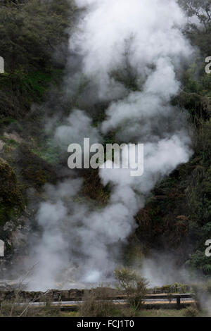 Les terrasses de marbre dans la Vallée volcanique de Waimangu sur l'île Nord de la Nouvelle-Zélande sont construites par un 97 °C chaud printemps. Banque D'Images