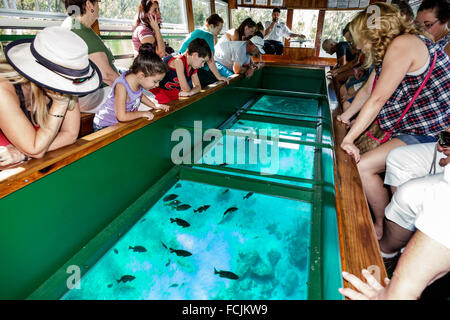 Florida Silver Springs,State Park,Silver River,bateau à fond de verre,Chief Micanopy,intérieur,passagers rider riders,recherche,filles,y Banque D'Images