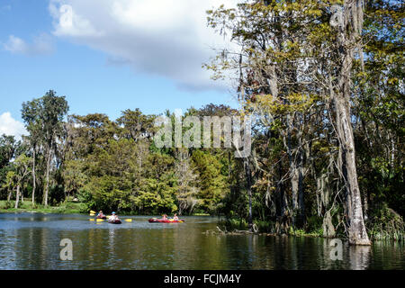 Floride,Sud,Silver Springs,State Park,Silver River Water,nature,paysage naturel,eau,mousse espagnole,kayakistes,pagayage,kayaks,les visiteurs Voyage voyage Banque D'Images