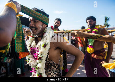 Kuala Lumpur, Malaisie, les grottes de Batu. 23 Jan, 2016. Dévot hindou prépare le kavadi avant de prendre part à la procession de Thaipusam dans les grottes de Batu. Pour marquer ce jour, les Hindous dévots pierce différentes partie de son corps avec divers groupes des brochettes et faire des pots de lait sur leurs têtes le long de deux kilomètres pour célébrer l'honneur de Lord Subramaniam (Lord Murugan) dans les grottes de Batu, l'un des plus populaires de culte en dehors de l'Inde et le point focal pour célébrer le Festival de Thaipusam en Malaisie. Credit : ZUMA Press, Inc./Alamy Live News Banque D'Images