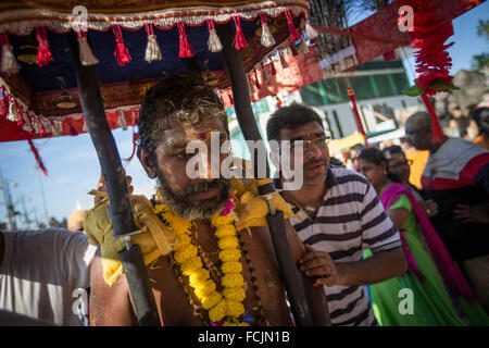 Kuala Lumpur, Malaisie, les grottes de Batu. 23 Jan, 2016. Dévot hindou prépare le kavadi avant de prendre part à la procession de Thaipusam dans les grottes de Batu. Pour marquer ce jour, les Hindous dévots pierce différentes partie de son corps avec divers groupes des brochettes et faire des pots de lait sur leurs têtes le long de deux kilomètres pour célébrer l'honneur de Lord Subramaniam (Lord Murugan) dans les grottes de Batu, l'un des plus populaires de culte en dehors de l'Inde et le point focal pour célébrer le Festival de Thaipusam en Malaisie. Credit : ZUMA Press, Inc./Alamy Live News Banque D'Images