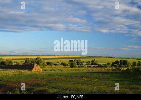 Paysage rural dans la région de Nijni-Novgorod. La Russie Banque D'Images