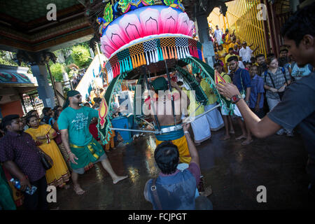 Kuala Lumpur, Malaisie, les grottes de Batu. 23 Jan, 2016. Dévot hindou prépare le kavadi avant de prendre part à la procession de Thaipusam dans les grottes de Batu. Pour marquer ce jour, les Hindous dévots pierce différentes partie de son corps avec divers groupes des brochettes et faire des pots de lait sur leurs têtes le long de deux kilomètres pour célébrer l'honneur de Lord Subramaniam (Lord Murugan) dans les grottes de Batu, l'un des plus populaires de culte en dehors de l'Inde et le point focal pour célébrer le Festival de Thaipusam en Malaisie. Credit : ZUMA Press, Inc./Alamy Live News Banque D'Images