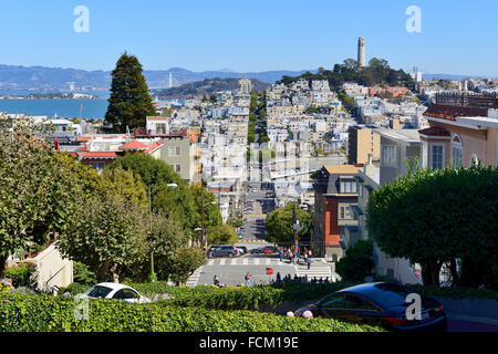 Vue du haut de Lombard Street en direction de Telegraph Hill, San Francisco, California, USA Banque D'Images