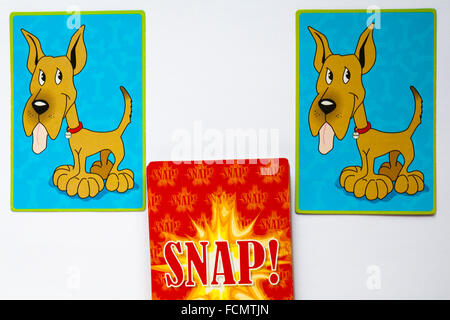 Le jeu de cartes avec les chiens avec la langue de correspondance hanging out situé sur fond blanc Banque D'Images