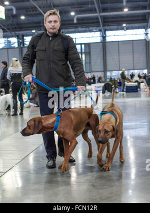 L'homme avec deux chiens Banque D'Images