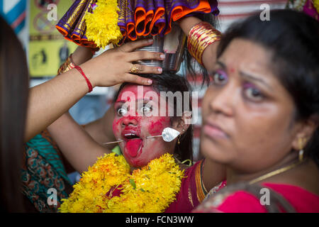 Kuala Lumpur, Malaisie, les grottes de Batu. 23 Jan, 2016. Les dévots hindous pierce différentes partie de son corps et faire des pots de lait sur leurs têtes sur des kilomètres pour célébrer l'honneur de Lord Subramaniam (Lord Murugan) dans les grottes de Batu pendant Thaipusam Festival, a observé le jour de la pleine lune au cours de la mois tamoul de Thai. © Guillaume Payen/ZUMA/Alamy Fil Live News Banque D'Images