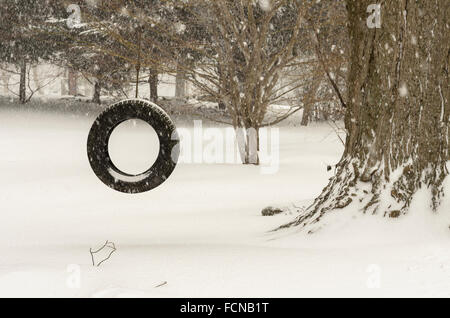 Chappaqua, New York. 23 janvier 2016. La première tempête de 2016 hits Chappaqua New York une banlieue dans le comté de Westchester avec rafales de vent créant des conditions de voile blanc et jusqu'à 20 pouces de neige avant la tempête pummeling la côte est se termine. Fond d'hiver concept météo Jardin avec balançoire et copie espace pour texte Crédit : 2016 Marianne Campolongo/Alamy Live News des biens disponibles. Banque D'Images