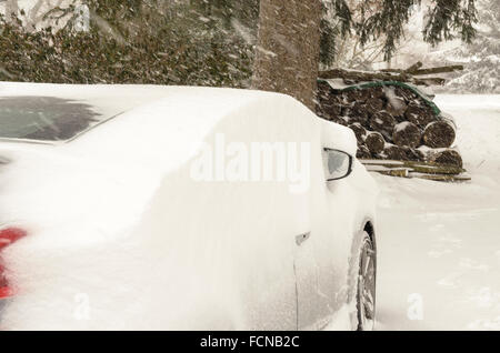 Chappaqua, New York. 23 janvier 2016. Les voitures sont couvertes de neige comme la première tempête de 2016 hits Chappaqua New York dans le comté de Westchester avec rafales de vent créant des conditions de voile blanc et jusqu'à 20 pouces de neige avant la tempête pummeling la côte est se termine. Credit : 2016 Marianne Campolongo/Alamy Live News Banque D'Images