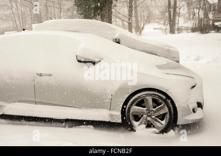 Chappaqua, New York. 23 janvier 2016. Les voitures sont couvertes de neige comme la première tempête de 2016 hits Chappaqua New York dans le comté de Westchester avec rafales de vent créant des conditions de voile blanc et jusqu'à 20 pouces de neige avant la tempête pummeling la côte est se termine. Credit : 2016 Marianne Campolongo/Alamy Live News Banque D'Images