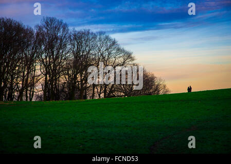 Vue générale au crépuscule sur Hampstead Heath à Londres Banque D'Images