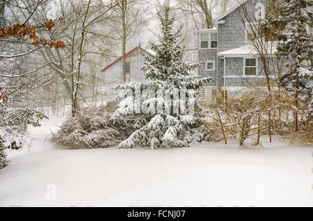 Chappaqua, New York, USA. 23 janvier 2016. La première tempête de 2016 hits le comté de Westchester banlieue de Chappaqua avec rafales de vent créant des conditions de voile blanc et jusqu'à 20 pouces de neige avant la tempête pummeling la côte est se termine. Credit : 2016 Marianne Campolongo/Alamy Live News Banque D'Images