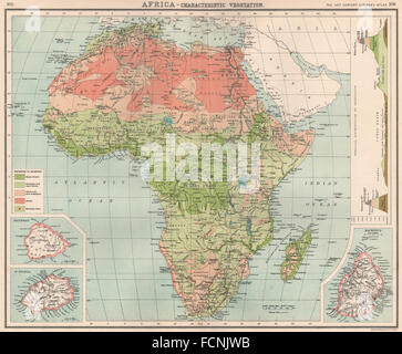 La végétation de l'Afrique : avec la distribution verticale de la végétation. L'Ile Maurice, 1901 map Banque D'Images