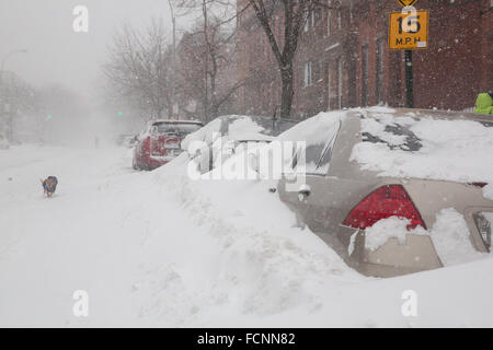 New York, USA. 23 janvier, 2016. USA : Météo Tempête NYC Crédit : Jonas Bob London/Alamy Live News Banque D'Images