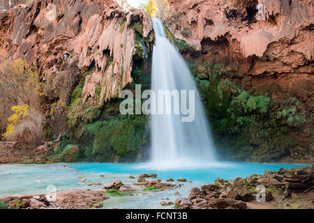 Chute de Havasupai Banque D'Images